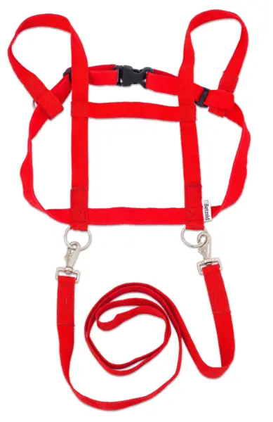 Legende Hestetøjler til Børn