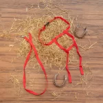 Legende Hestetøjler til Børn