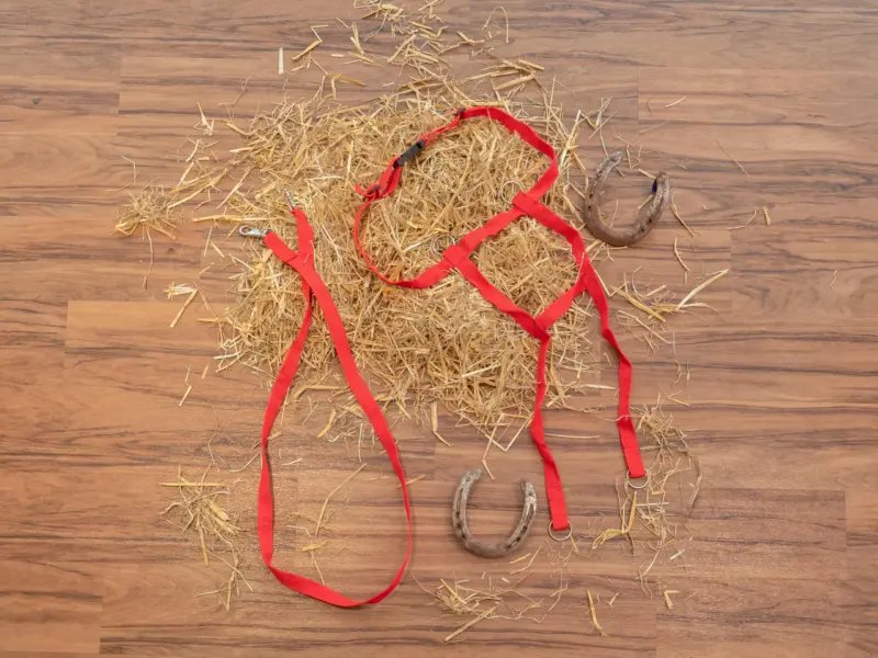 Legende Hestetøjler til Børn