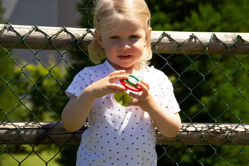 Natur forstørrelsedåse