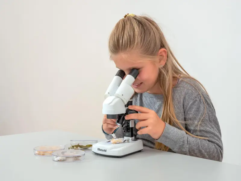 Stereomikroskop for begyndere