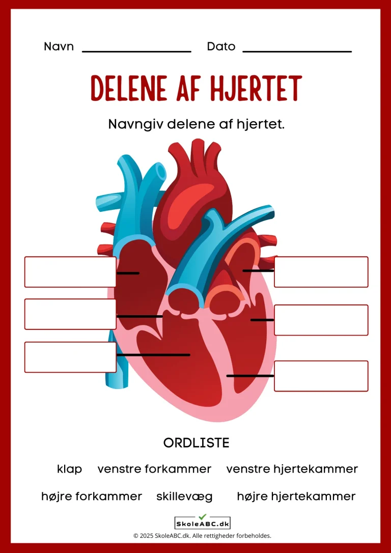 Dele af hjertet - opgave til natur og teknologi