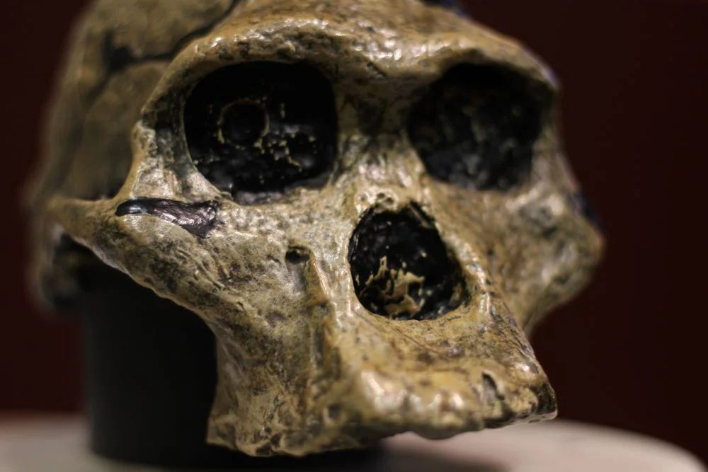 De første mennesker.